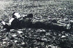 Zwłoki Józefa Bednarczyka ps. „Olcha” (zdjęcie pośmiertne wykonane przez funkcjonariuszy UB), żołnierza w oddziale ppor. Tadeusza Zielińskiego „Igły”. Po śmierci dowódcy, w latach 1951-1954 ukrywał się w powiecie radomskim. 10 lipca 1954 r. otoczony przez grupę operacyjną UB, zginął w czasie próby przebicia się z okrążenia.