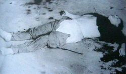 23 sierpnia 1954 r., zdjęcie wykonane przez UB. Zwłoki mjr. Jana Tabortowskiego „Bruzdy”, który zginął podczas akcji rozbrajania posterunku MO w Przytułach. Był on ostatnim kadrowym oficerem AK, który poległ z bronią w ręku walcząc z komunistycznym zniewoleniem. Miejsce pochówku do dzisiaj pozostaje nieznane.