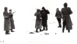 Ujęcie Michała Krupy "Wierzby" 11 lutego 1959 r. w Kulnie.